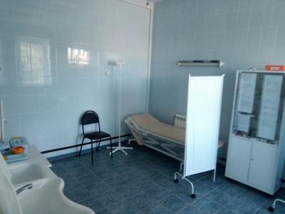 Рязанские активисты ОНФ оценили сельские ФАПы